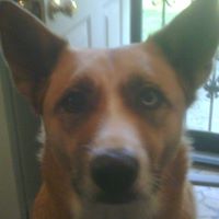 Lisa Lumpkin Photo 25