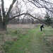 Erwin Peterson Photo 9