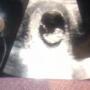 Kimberly Riddle Photo 29