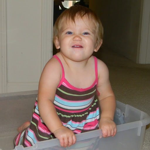 Lisa Dewitt Photo 10