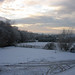Janice Stephenson Photo 33