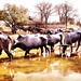 Robert Summers Photo 12