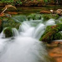 Victor Roberts Photo 8