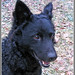 Julie Breed Photo 8