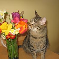 Gail Valentine Photo 9