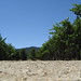 Robert Vineyard Photo 7