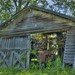 Daryl Moss Photo 8