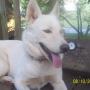 Nancy Neeley Photo 22