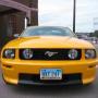 David Schafer Photo 37