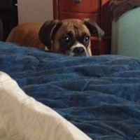 Tracy Garland Photo 5