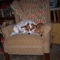 Vicki Harris Photo 15