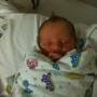Amanda Mccourt Photo 13