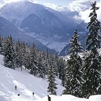 Lee Slater Photo 5