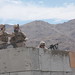 Lance Robertson Photo 11
