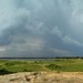 Amit Biswas Photo 28