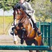 Janice Colby Photo 4