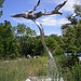 Michael Wind Photo 16