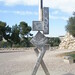 David Vi Photo 10