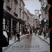 Frances Ziegler Photo 9