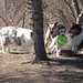 Dixie Spencer Photo 21