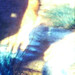 Ellen Watkins Photo 16