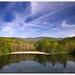 Todd Forest Photo 13