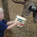 Jamie Deer Photo 14