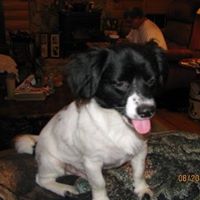 Jean Graham Photo 39