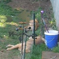 Kimberley Moore Photo 9