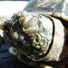 Debra Hurt Photo 9