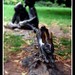 Edwin Lewis Photo 31