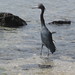 Sharon Herron Photo 12