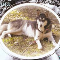 Bob Matlock Photo 14
