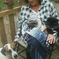 Darla Amundson Photo 6