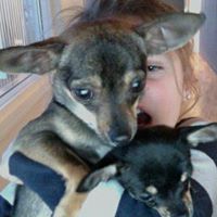 Ella Louis Photo 3