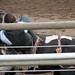 Colton Hicks Photo 17