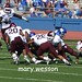 Chris Brock Photo 48