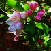 Kathy Walton Photo 35