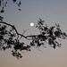 Kathleen Hedges Photo 21