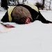 Joseph Morrissey Photo 11