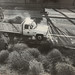Randy Hardy Photo 28