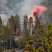 Todd Crisp Photo 12