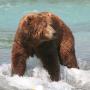 Kevin Erwin Photo 23