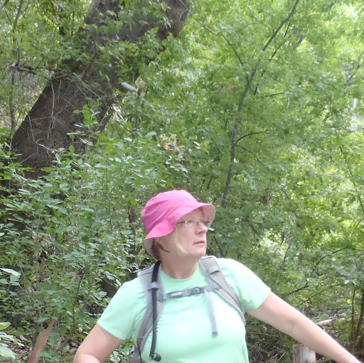 Kathy Tyler Photo 43