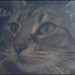 Tabitha Stokes Photo 17