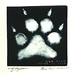 Joy Wolf Photo 13