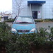 Mercedes Bush Photo 10