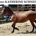 Katherine Schneider Photo 20