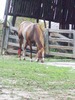 Anne Mckinley Photo 17