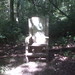 Jason Throne Photo 10